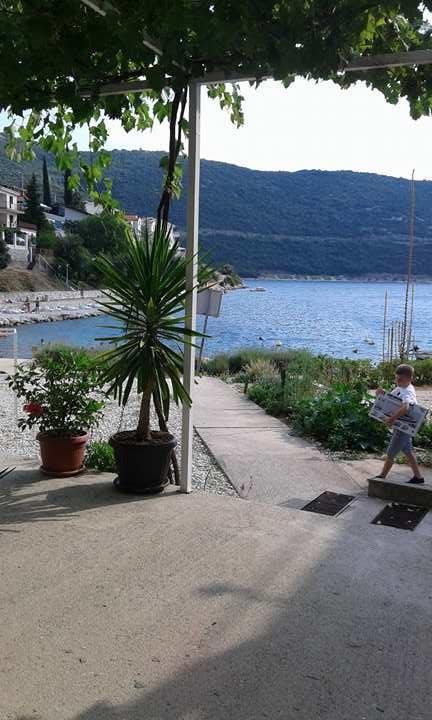 Apartmani Jopi Neum Εξωτερικό φωτογραφία